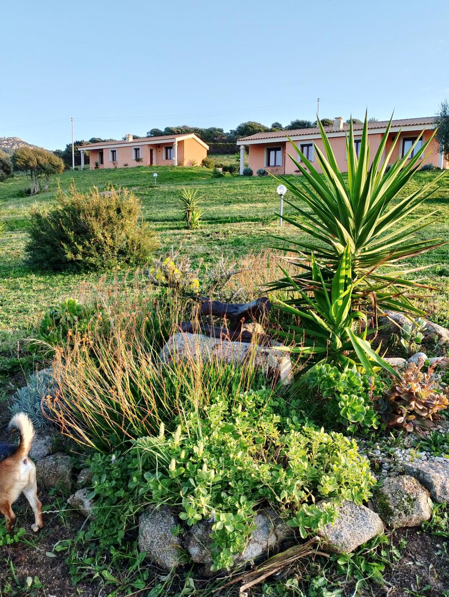 Agriturismo Gli Olivastri Appartamento Corbezzolo Con Piscina E Vista Mare,Climatizzatore,Wifi Aglientu Exterior foto
